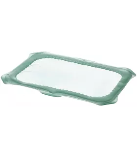 ИКЕА Крышка для контейнера Овермэтт 00497934, 21x31 см, зелeный